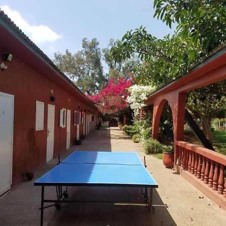 Ferme Hippique Chtouka Panzió Dar Said Ben Hajj Kültér fotó